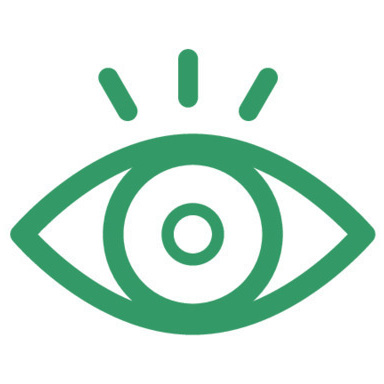 Vision Vision